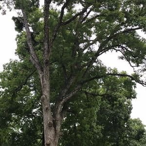 Meet your Posher, Kristie